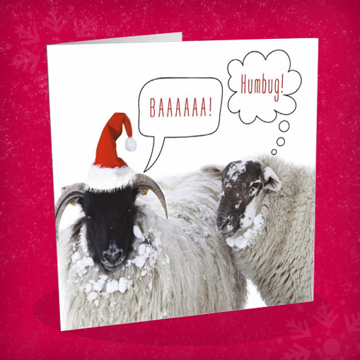 Baaa Humbug (English Greeting)