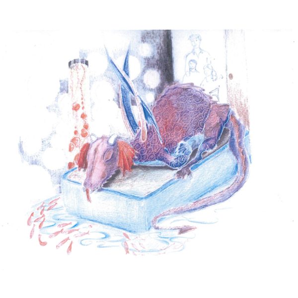 a dragon called mor - Image 4