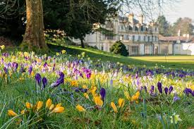 plants at Dyffryn gardens