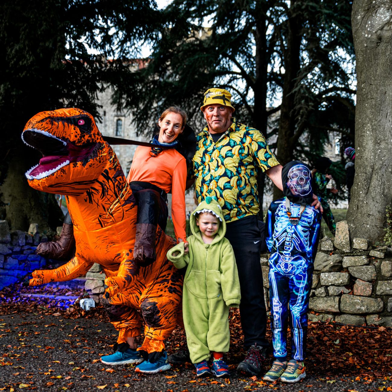 Dark Run family