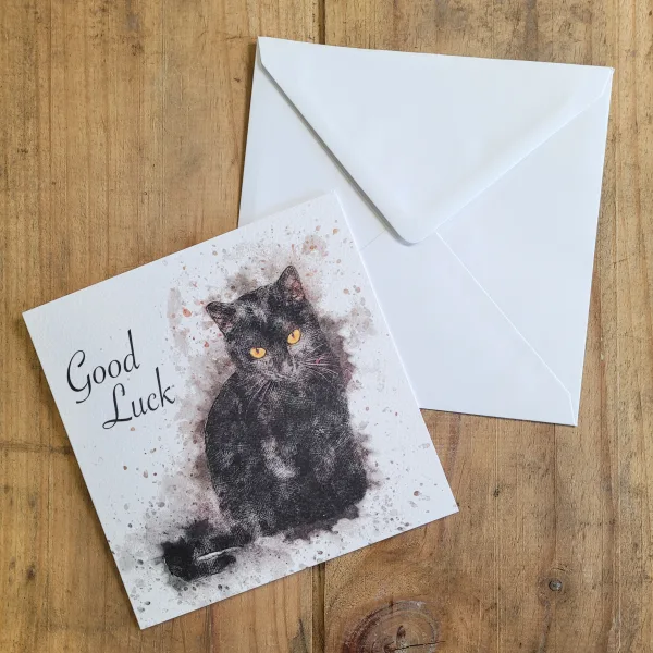 Good luck - Cat