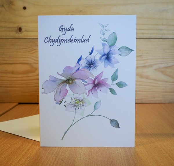 gyda chydymdeimlad