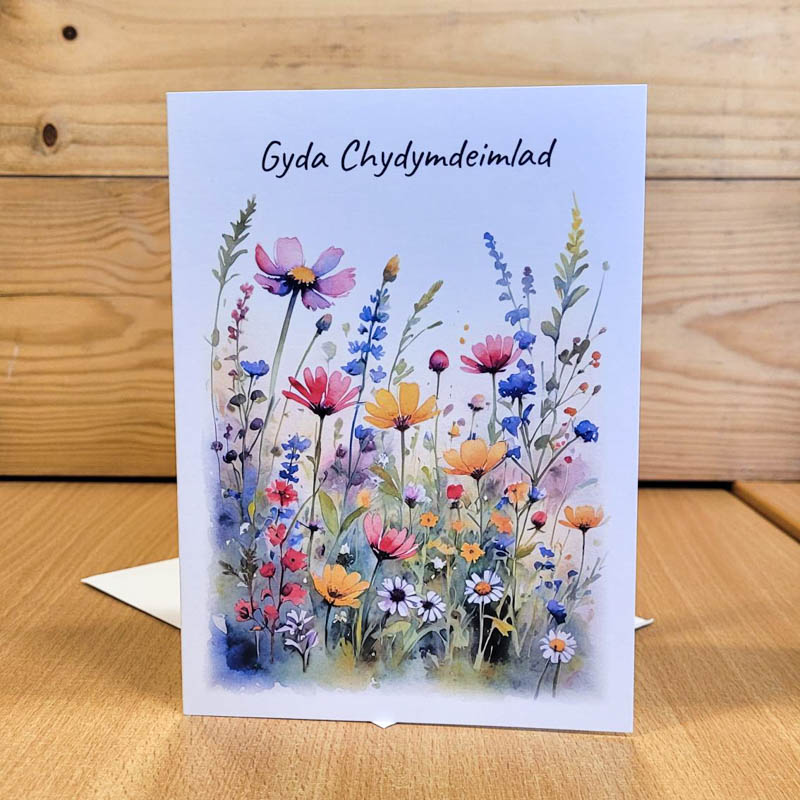 Gyda Chydymdeimlad