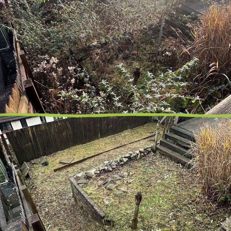 A comparison of a garden before and after. Before. it's overgrown with trees and brambles. After, it's clear and you can see the ground