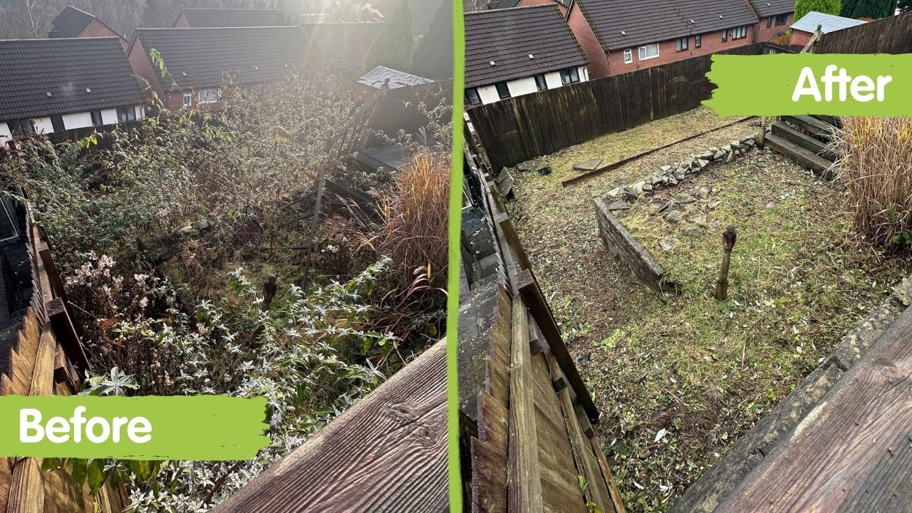 A comparison of a garden before and after a visit from the Family Support Volunteer gardeners. Before. it's overgrown with trees and brambles. After, it's clear and you can see the ground