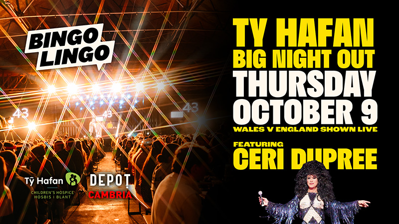 Bingo Lingo Big Night Out Ty Hafan