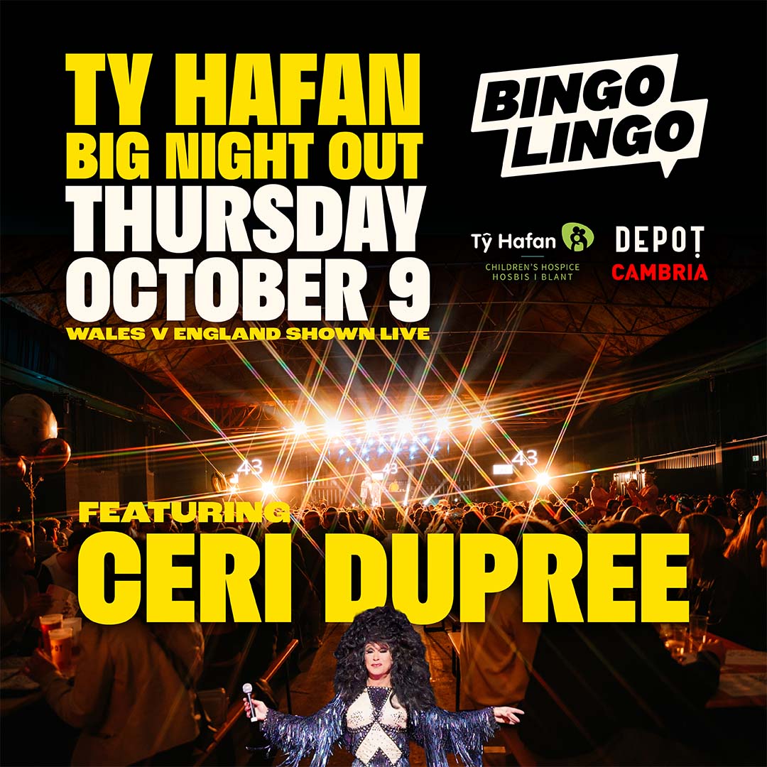 Bingo Lingo Big Night Out Ty Hafan