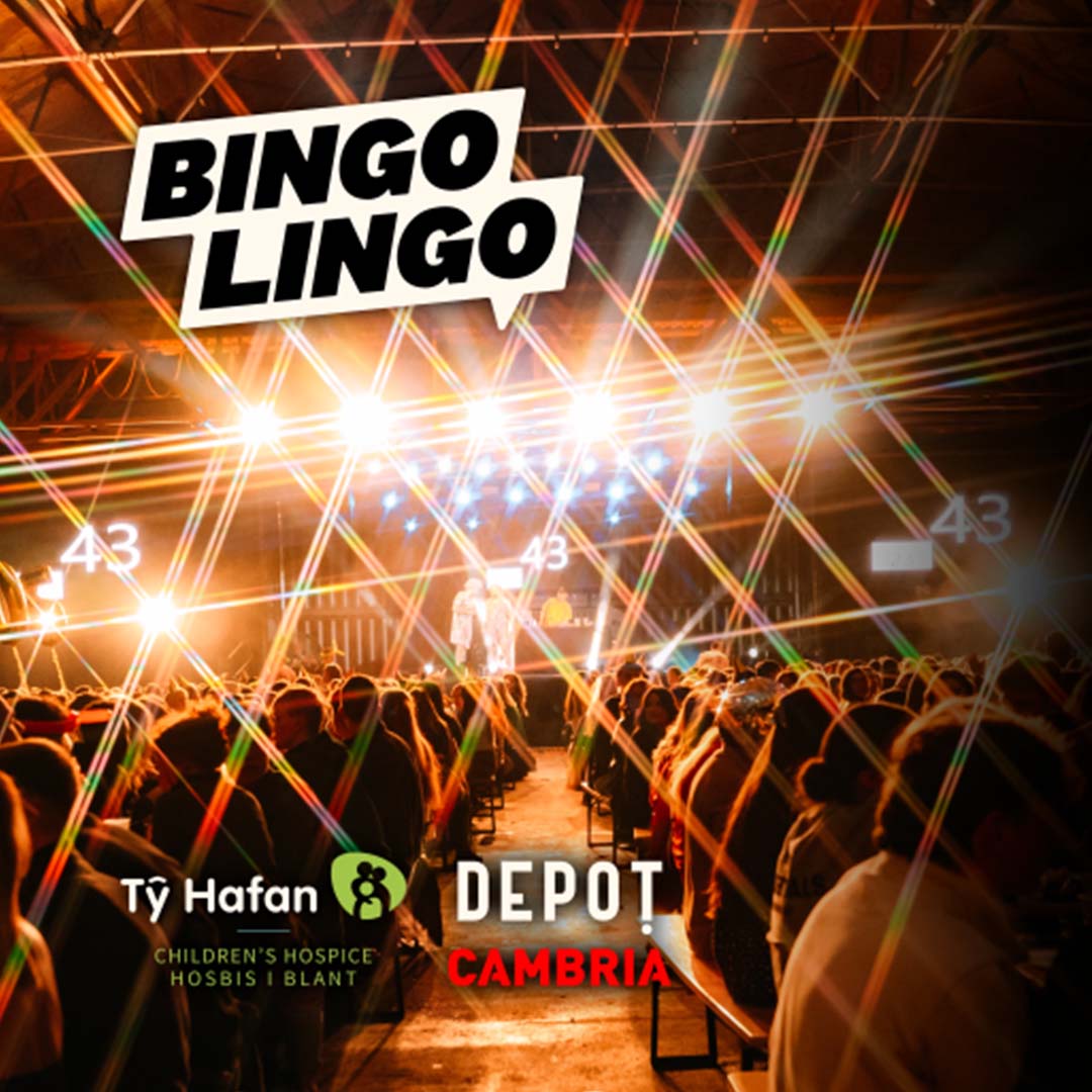 Bingo Lingo Quiz Ty Hafan